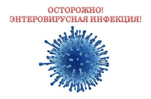 Осторожно! Энтеровирусная инфекция! Осторожно! Энтеровирусная инфекция!.