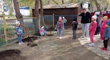 Экологическая акция "Посади дерево" Экологическая акция "Посади дерево".