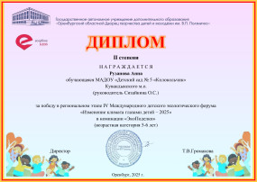 Диплом победителя Диплом победителя.