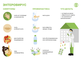 Осторожно! Энтеровирусная инфекция! Осторожно! Энтеровирусная инфекция!.