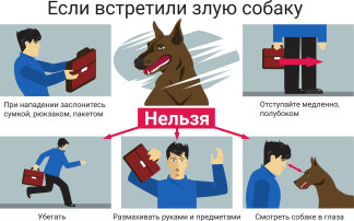 Детский сад имеют возможность посещать дети с ОВЗ Детский сад имеют возможность посещать дети с ОВЗ.